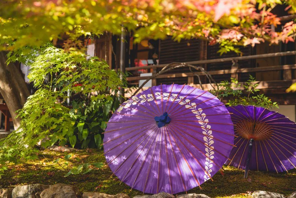 Traditional Japanese paper umbrellas